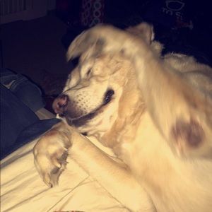 Meet your Posher, Taia